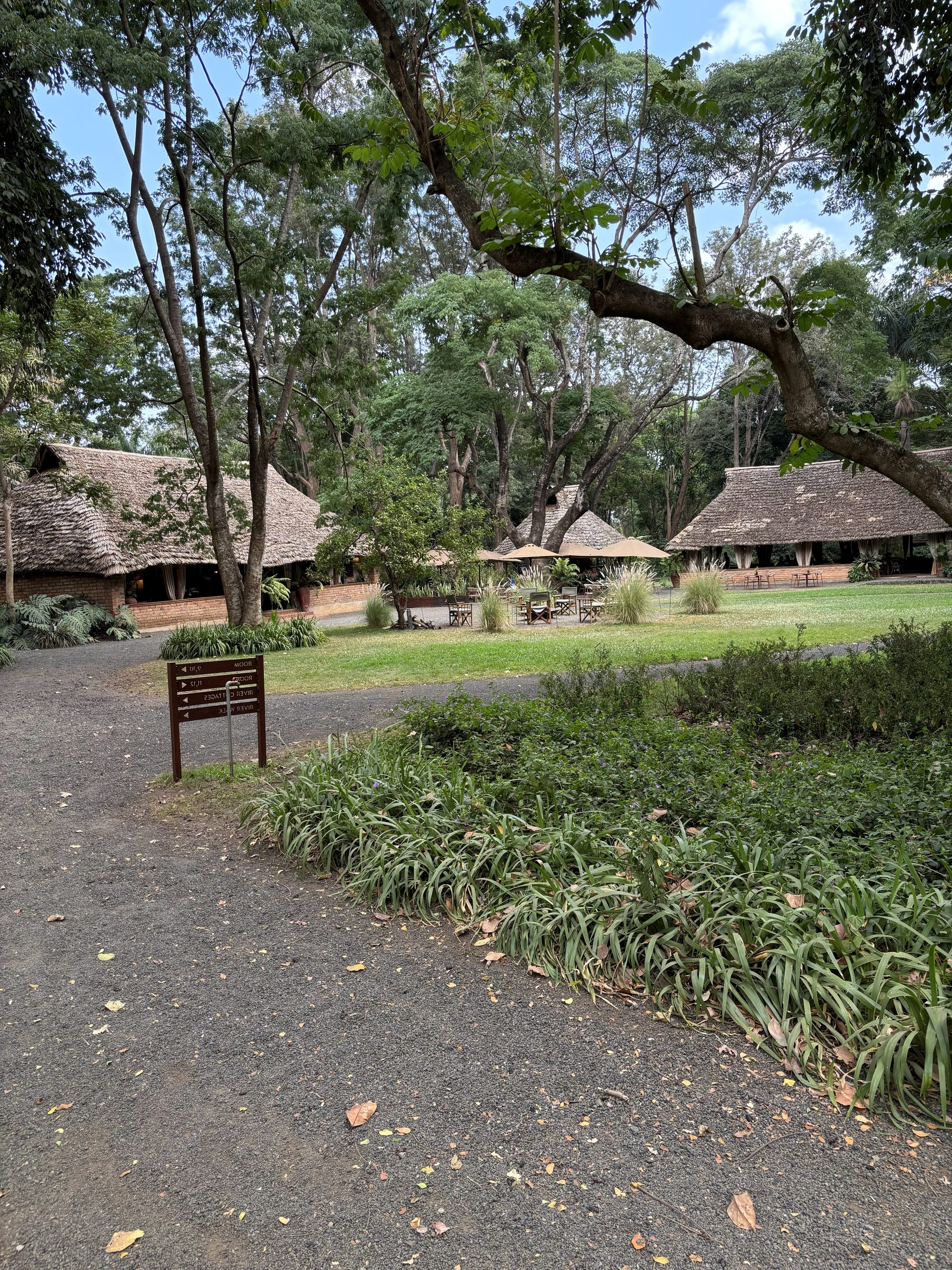 The open-air breakfast pavilion at Rivertrees Country Inn — thatched roof, towering forest trees, long communal table set for the group